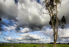 毕尔巴鄂1-0客胜塞维利亚，耶赖绝杀，贝斯加失点.