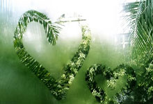 这比分全运会女足U18组资格赛，浙江队18-0狂胜黑龙江队.